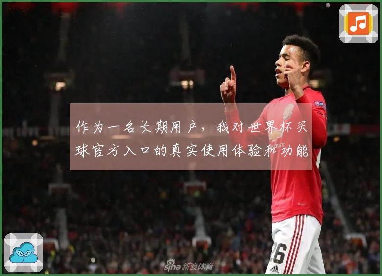 作为一名长期用户，我对世界杯买球官方入口的真实使用体验和功能介绍分享