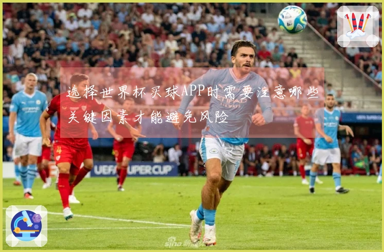 选择世界杯买球APP时需要注意哪些关键因素才能避免风险