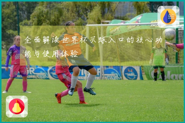 全面解读世界杯买球入口的核心功能与使用体验