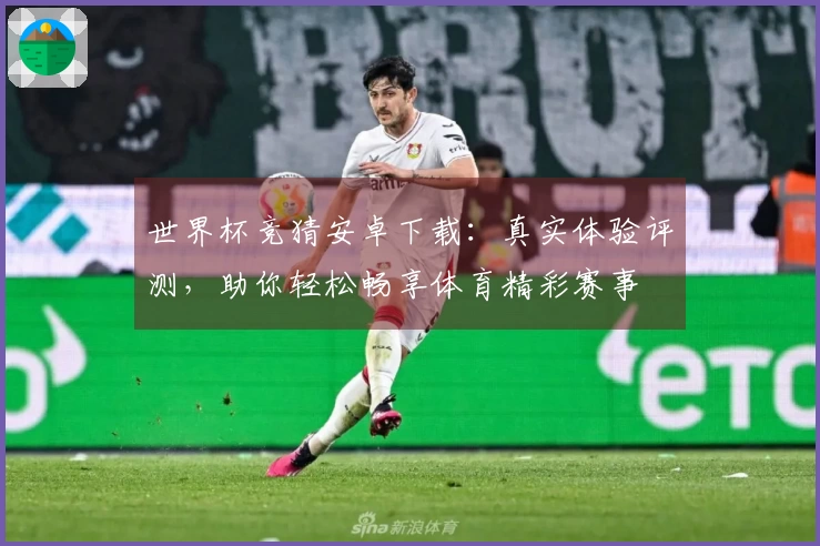 世界杯竞猜安卓下载：真实体验评测，助你轻松畅享体育精彩赛事