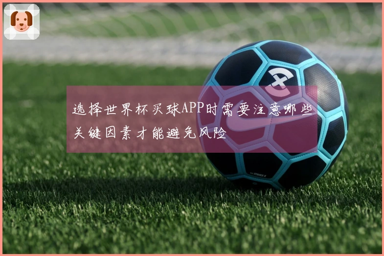 选择世界杯买球APP时需要注意哪些关键因素才能避免风险