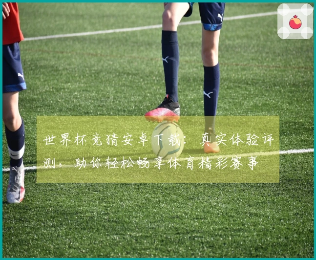 世界杯竞猜安卓下载：真实体验评测，助你轻松畅享体育精彩赛事