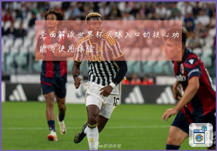 全面解读世界杯买球入口的核心功能与使用体验