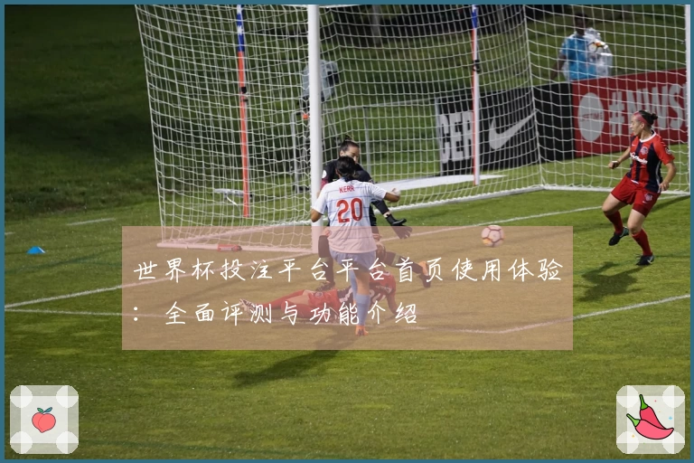 世界杯投注平台平台首页使用体验：全面评测与功能介绍
