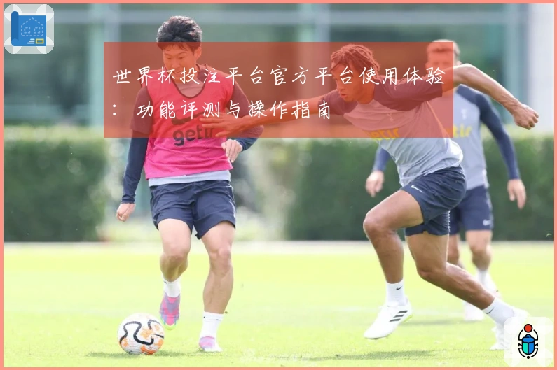 世界杯投注平台官方平台使用体验：功能评测与操作指南